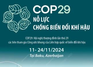 Infographic: COP29 nỗ lực chống biến đổi khí hậu Infographic: COP29 nỗ lực chống biến đổi khí hậu