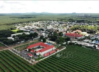 Cơ cấu lại kinh tế vùng Đông Nam Bộ theo hướng hiện đại Cơ cấu lại kinh tế vùng Đông Nam Bộ theo hướng hiện đại