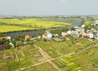 Quảng Nam: Làng rau Trà Quế là ‘Làng Du lịch tốt nhất’ năm 2024 Quảng Nam: Làng rau Trà Quế là 'Làng Du lịch tốt nhất' năm 2024