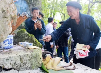 Lễ cúng thần rừng – Nghi lễ mang đậm bản sắc văn hóa truyền thống của người Cờ Lao Lễ cúng thần rừng - Nghi lễ mang đậm bản sắc văn hóa truyền thống của người Cờ Lao