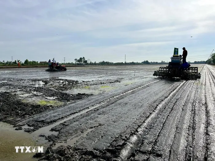 Mô hình trình diễn Máy gieo sạ hàng kết hợp vùi phân bón trên cánh đồng thuộc Hợp tác xã Nông nghiệp ấp 1 Tân Tây, huyện Thạnh Hóa. 