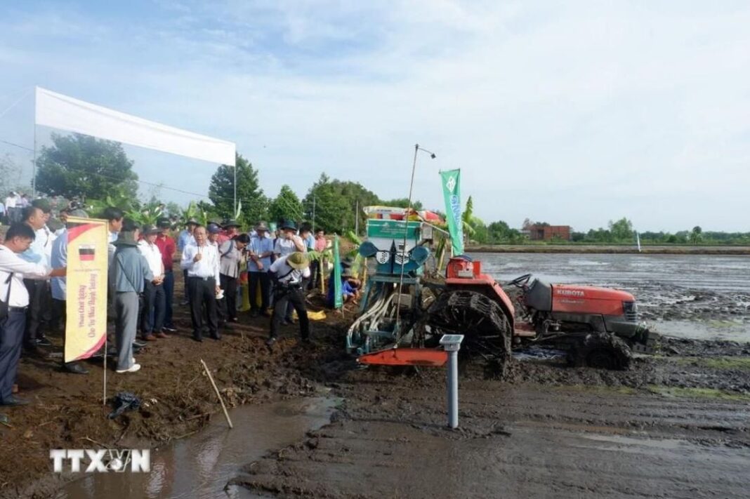 Long An khởi động đề án một triệu hécta chuyên canh lúa chất lượng cao Long An khởi động đề án một triệu hécta chuyên canh lúa chất lượng cao