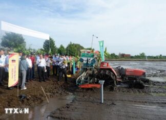 Long An khởi động đề án một triệu hécta chuyên canh lúa chất lượng cao Long An khởi động đề án một triệu hécta chuyên canh lúa chất lượng cao