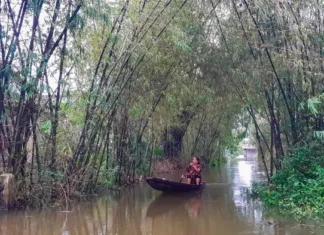 Mưa lớn ở thượng nguồn, lũ trên các sông ở Thừa Thiên Huế lên trở lại Mưa lớn ở thượng nguồn, lũ trên các sông ở Thừa Thiên Huế lên trở lại