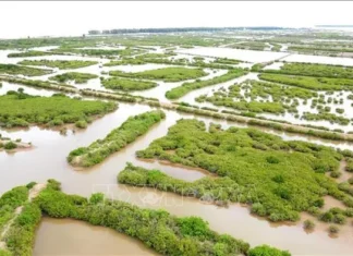 Quy hoạch thành lập mới 61 khu bảo tồn thiên nhiên Quy hoạch thành lập mới 61 khu bảo tồn thiên nhiên