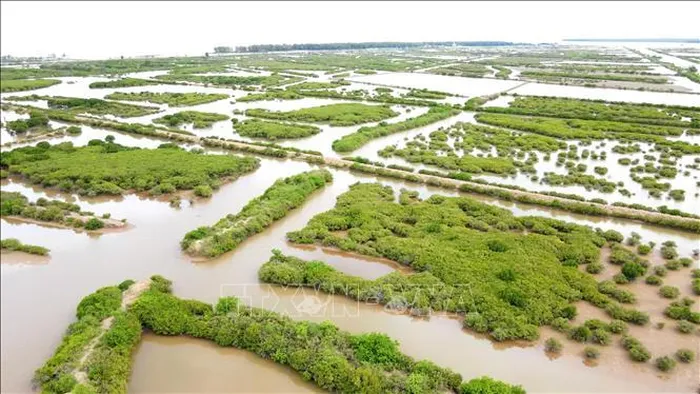 Quy hoạch thành lập mới 61 khu bảo tồn thiên nhiên