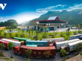 Sau khi sắp xếp, tỉnh Lạng Sơn có 11 đơn vị hành chính cấp huyện