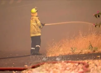 ‘Giặc lửa’ thiêu rụi 74.000 ha rừng tại Australia 'Giặc lửa' thiêu rụi 74.000 ha rừng tại Australia