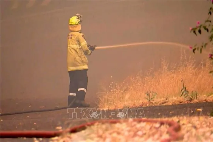 'Giặc lửa' thiêu rụi 74.000 ha rừng tại Australia