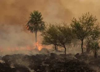 Cháy rừng thiêu rụi 1.400ha ở Công viên Quốc gia Argentina Cháy rừng thiêu rụi 1.400ha ở Công viên Quốc gia Argentina