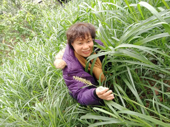 Nhà văn Y Mùi tên thật là Đào Thị Mùi, sống tại Hà Nội. Từ năm 2015 đến nay, Y Mùi đã ra mắt nhiều tập truyện ngắn ấn tượng, trong đó “Vụn vặt chuyện nhà” (NXB Quân Đội Nhân dân - năm 2022) được giới chuyên môn đánh giá cao.