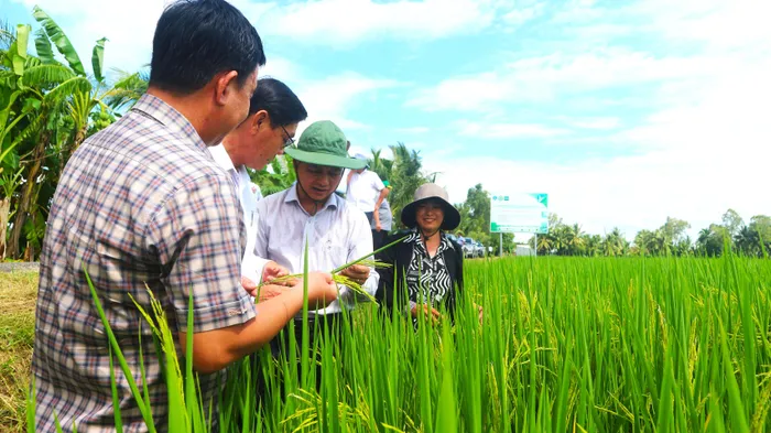 Sóc Trăng: Tốc độ tăng trưởng kinh tế đạt 7,07%