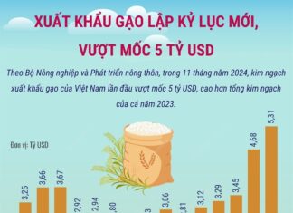 Infographic: Xuất khẩu gạo lập kỷ lục mới, vượt mốc 5 tỷ USD