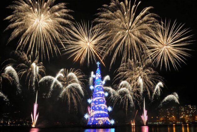 Năm 2007, s&aacute;ch Kỷ lục Guinness Thế giới ghi nhận c&acirc;y th&ocirc;ng Noel ở Rio de Janeiro l&agrave; c&acirc;y th&ocirc;ng nổi lớn nhất thế giới, với chiều cao đạt tới 278 feet (84 m).