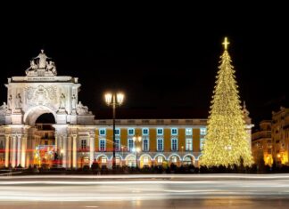 Chiêm ngưỡng những cây thông Noel ấn tượng nhất thế giới
