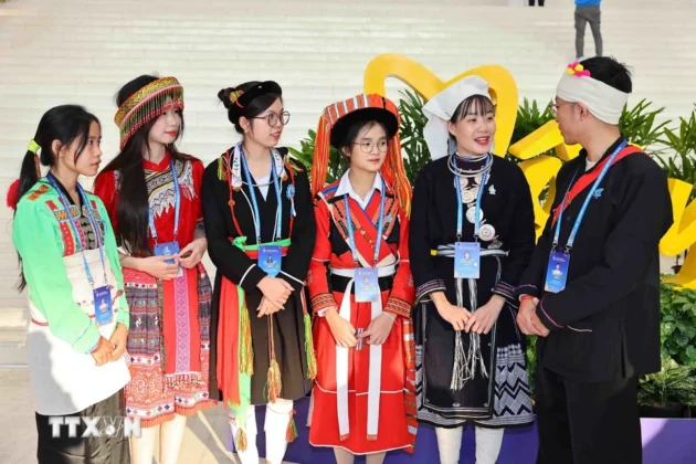 C&aacute;c đại biểu tham dự Phi&ecirc;n trọng thể Đại hội Hội Li&ecirc;n hiệp Thanh ni&ecirc;n Việt Nam lần 9. (Ảnh: Minh Đức/TTXVN)