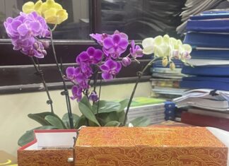 Lời bạt thứ nhất về bộ tiểu thuyết vương triều Tiền Lý [kỳ II] - Tác giả: Nhà văn Nguyễn Xuân Tuấn và nhóm bằng hữu Viện Nhân học Văn hóa