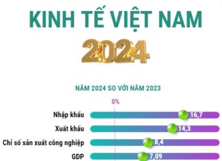 Infographic: Kinh tế Việt Nam năm 2024: Tăng trưởng vượt mục tiêu đề ra