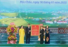 Sơn La: Lễ công bố Nghị quyết về thành lập thị xã Mộc Châu Sơn La: Lễ công bố Nghị quyết về thành lập thị xã Mộc Châu