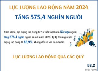 Infographic: Năm 2024, lực lượng lao động tăng 575,4 nghìn người