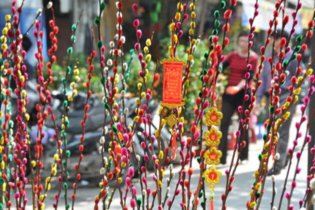 Nụ tầm xu&acirc;n: Ng&agrave;y tết hầu hết tr&ecirc;n khắp đất nước Việt Nam lu&ocirc;n nụ tầm xu&acirc;n được nhiều người t&igrave;m mua về trang tr&iacute;. Theo quan niệm của họ, hoa n&agrave;y với những nụ hồng nhỏ nhắn lại truyền cho người ngắm n&oacute; hy vọng, niềm tin v&agrave; nghị lực v&ocirc; c&ugrave;ng mạnh mẽ.