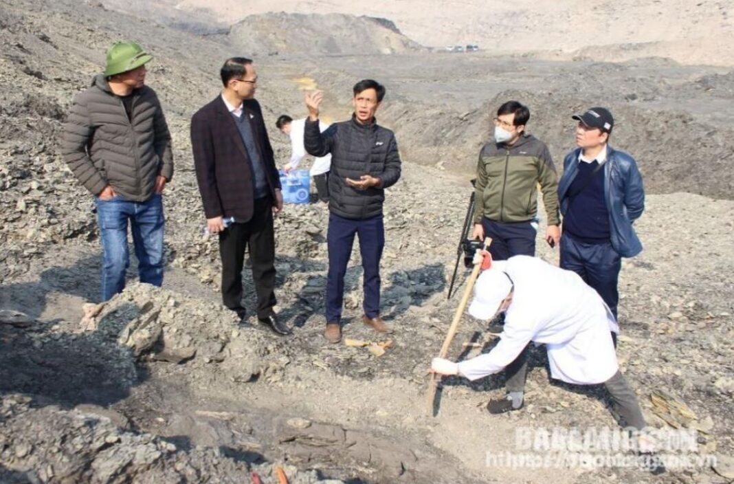 Phát hiện, khai quật mẫu vật cá sấu hóa thạch tại Na Dương (huyện Lộc Bình)
