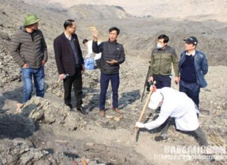 Phát hiện, khai quật mẫu vật cá sấu hóa thạch tại Na Dương (huyện Lộc Bình)