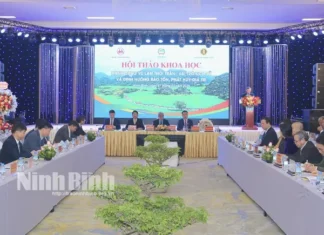Khai mạc Hội thảo Khoa học 'Hành cung Vũ Lâm thời Trần-Vai trò lịch sử và định hướng bảo tồn, phát huy giá trị'