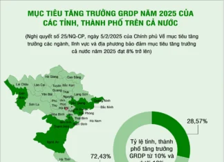 Mục tiêu tăng trưởng GRDP năm 2025 của các tỉnh, thành phố trên cả nước Mục tiêu tăng trưởng GRDP năm 2025 của các tỉnh, thành phố trên cả nước
