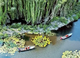 Phát triển du lịch sinh thái rừng bền vững Phát triển du lịch sinh thái rừng bền vững