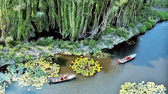 Phát triển du lịch sinh thái rừng bền vững