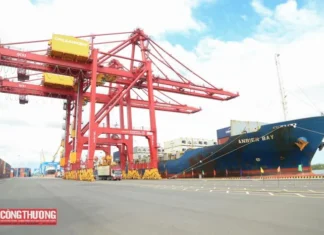 Quảng Nam dự kiến mục tiêu tăng trưởng kinh tế giai đoạn 2026-2030 là 11,5% Quảng Nam dự kiến mục tiêu tăng trưởng kinh tế giai đoạn 2026-2030 là 11,5%