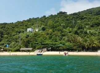 Thành lập Khu bảo tồn thiên nhiên Cù Lao Chàm Thành lập Khu bảo tồn thiên nhiên Cù Lao Chàm