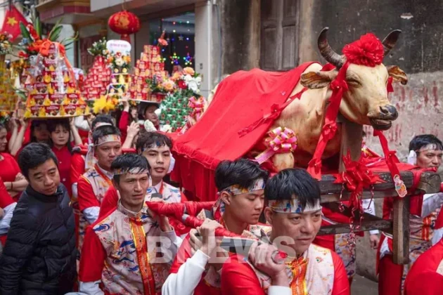 Tr&ecirc;n m&acirc;m lễ vật d&acirc;ng l&ecirc;n c&aacute;c vị th&aacute;nh, thần c&oacute; một con b&ecirc; thui được phủ k&iacute;n bằng vải lụa điều, ngo&agrave;i ra c&ograve;n c&oacute; rất nhiều sản vật đặc trưng được c&aacute;c x&oacute;m, d&ograve;ng họ, gia đ&igrave;nh chăm ch&uacute;t chuẩn bị từ trước. Ảnh: Đức Hạnh/BNEWS/TTXVN