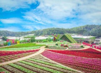 Bản tin dự báo, cảnh báo xu thế thời tiết trên đất liền thời hạn đến 10 ngày (Từ đêm 13/02 đến ngày 23/02) Bản tin dự báo, cảnh báo xu thế thời tiết trên đất liền thời hạn đến 10 ngày (Từ đêm 13/02 đến ngày 23/02)