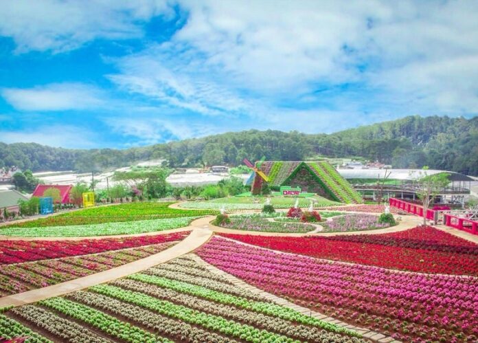 Bản tin dự báo, cảnh báo xu thế thời tiết trên đất liền thời hạn đến 10 ngày (Từ đêm 13/02 đến ngày 23/02) Bản tin dự báo, cảnh báo xu thế thời tiết trên đất liền thời hạn đến 10 ngày (Từ đêm 13/02 đến ngày 23/02)