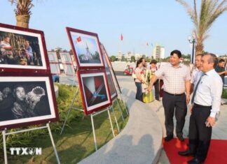 50 năm Thống nhất đất nước: Ngắm đất và người Quảng Ngãi 50 năm Thống nhất đất nước: Ngắm đất và người Quảng Ngãi