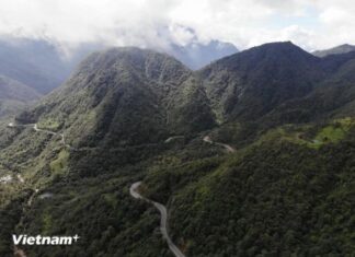 Bộ trưởng Đỗ Đức Duy: Cần phát triển các mô hình kinh tế mới về lâm nghiệp Bộ trưởng Đỗ Đức Duy: Cần phát triển các mô hình kinh tế mới về lâm nghiệp