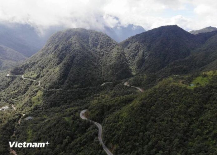 Bộ trưởng Đỗ Đức Duy: Cần phát triển các mô hình kinh tế mới về lâm nghiệp Bộ trưởng Đỗ Đức Duy: Cần phát triển các mô hình kinh tế mới về lâm nghiệp