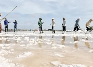 Cơ hội để nâng cao giá trị hạt muối Việt Nam Cơ hội để nâng cao giá trị hạt muối Việt Nam