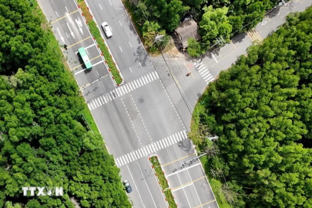 Đường Rừng S&aacute;c đoạn ng&atilde; ba Tam Th&ocirc;n Hiệp đi khu du lịch V&agrave;m S&aacute;t, x&atilde; L&yacute; Nhơn.
