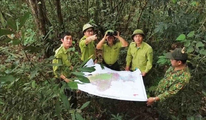 Phát triển du lịch sinh thái gắn với bảo vệ rừng