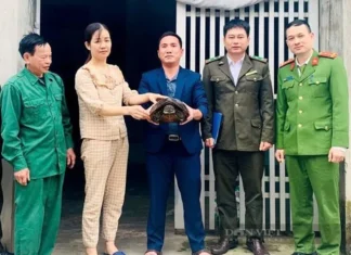Phát hiện rùa đất quý hiếm khi đi làm đồng Phát hiện rùa đất quý hiếm khi đi làm đồng