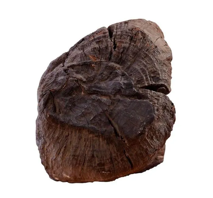 Phần đỉnh mộc bài Đa Bối.