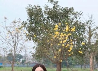 Chất thơ và khúc bi tráng trong phim truyện Việt Nam “Mùi cỏ cháy” – Tác giả: Nhà giáo, nhà phê bình văn học Đỗ Nguyên Thương Chất thơ và khúc bi tráng trong phim truyện Việt Nam “Mùi cỏ cháy” - Tác giả: Nhà giáo, nhà phê bình văn học Đỗ Nguyên Thương