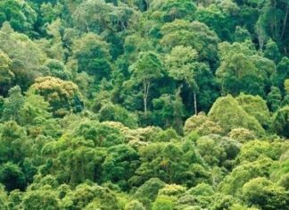 Quyết liệt để đạt Net Zero Quyết liệt để đạt Net Zero