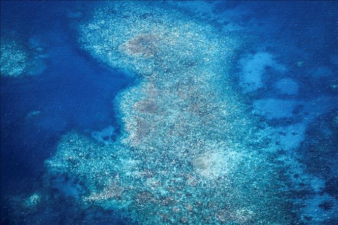 Hiện tượng tẩy trắng san hô đáng báo động tại rạn san hô nổi tiếng ở Australia