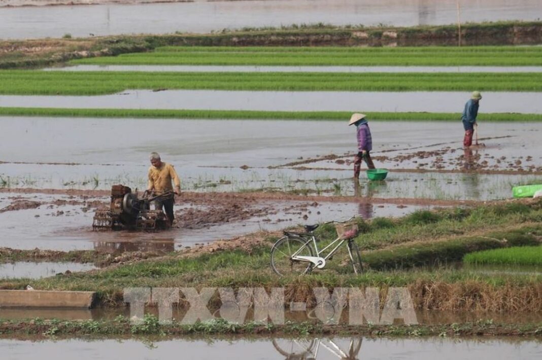 Thái Bình: Từ miền 'quê lúa' đến điểm sáng phát triển của vùng Đồng bằng Bắc Bộ Thái Bình: Từ miền 'quê lúa' đến điểm sáng phát triển của vùng Đồng bằng Bắc Bộ