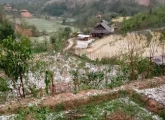 [Clip] Người dân hoảng sợ do mưa đá, dông lốc làm bay mái nhà