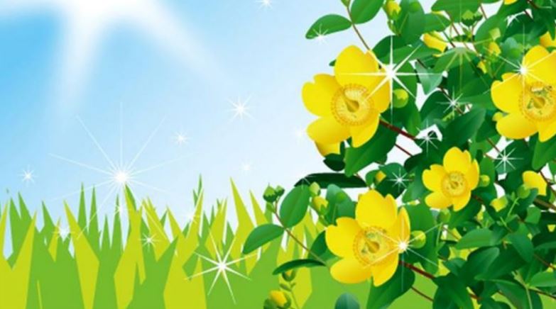 Ngày Lập hạ năm 2025 là ngày nào?